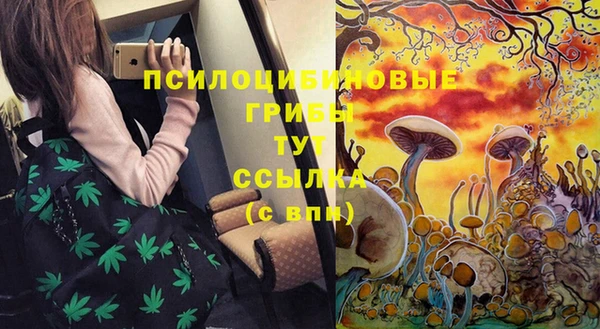 крисы Дедовск